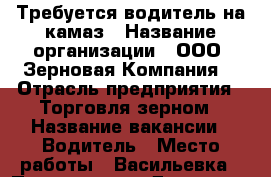 Требуется водитель на камаз › Название организации ­ ООО “Зерновая Компания“ › Отрасль предприятия ­ Торговля зерном › Название вакансии ­ Водитель › Место работы ­ Васильевка › Подчинение ­ Директор › Возраст от ­ 30 › Возраст до ­ 40 - Самарская обл. Работа » Вакансии   